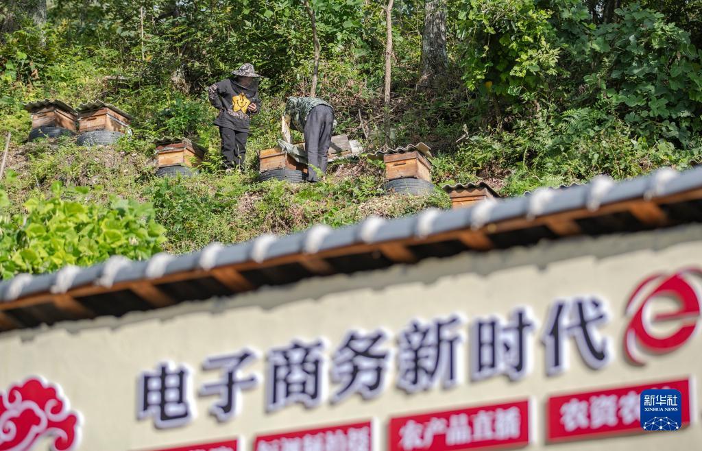 金沙娱手机乐登录口